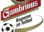 Gambrinus - Kopeme za fotbal